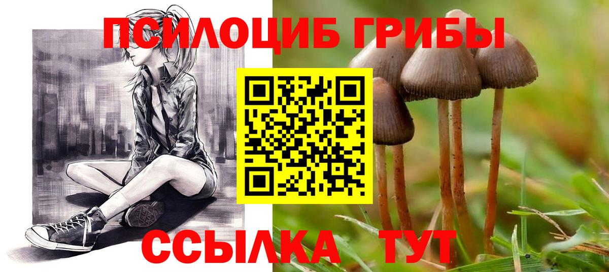 Галлюциногенные грибы ЛСД  Вход с VPN  Моздок  Галлюциногенные грибы Psilocybine cubensis 